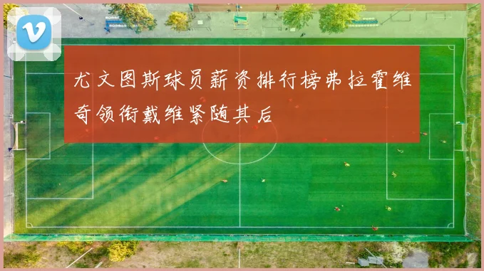 尤文图斯球员薪资排行榜弗拉霍维奇领衔戴维紧随其后