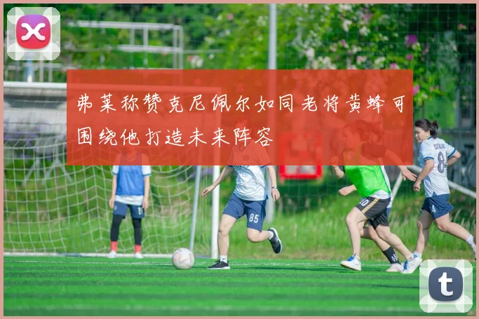 弗莱称赞克尼佩尔如同老将黄蜂可围绕他打造未来阵容