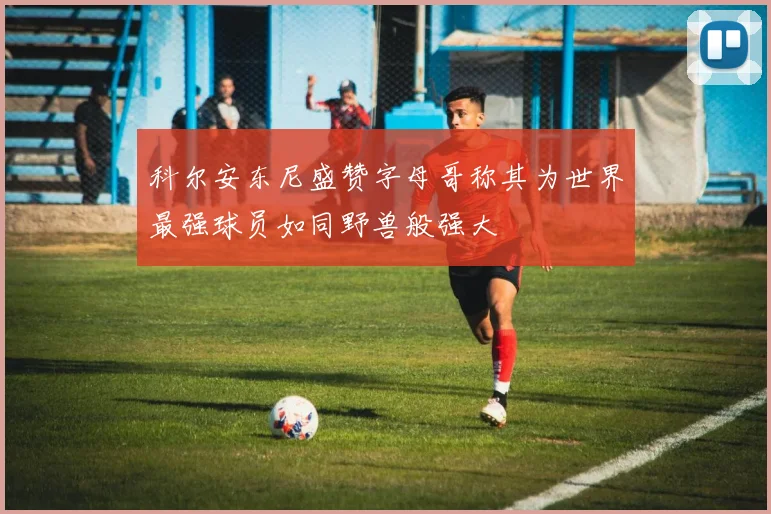 科尔安东尼盛赞字母哥称其为世界最强球员如同野兽般强大
