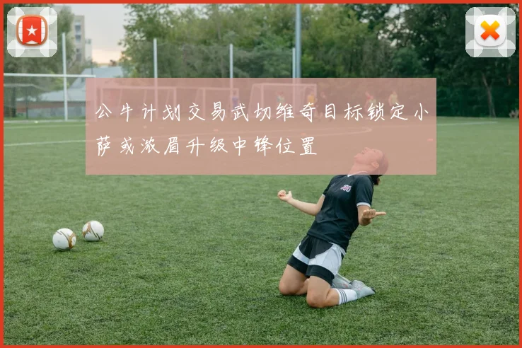 公牛计划交易武切维奇目标锁定小萨或浓眉升级中锋位置