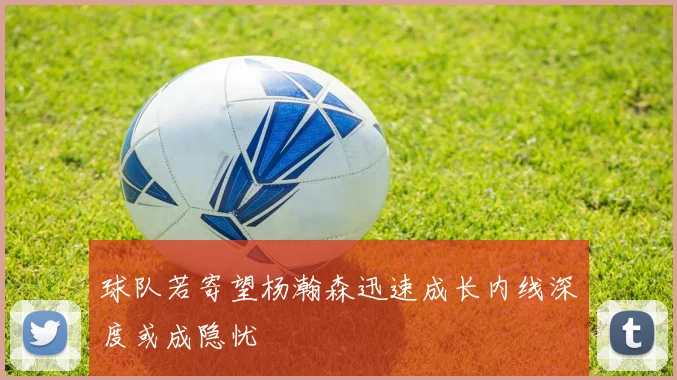 球队若寄望杨瀚森迅速成长内线深度或成隐忧