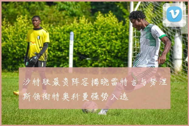 沙特联最贵阵容揭晓雷特吉与努涅斯领衔特奥科曼强势入选