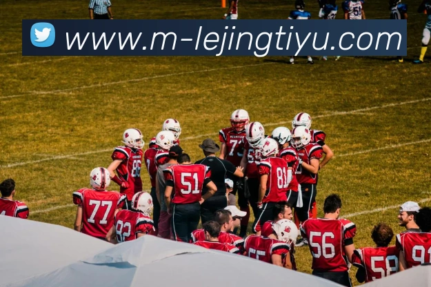 App Interface Preview