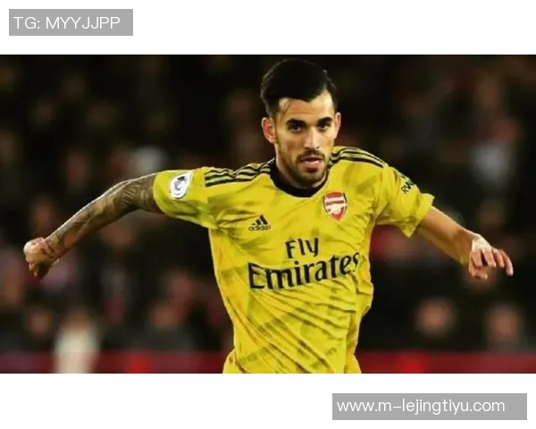 尤文图斯与莱切中卫加布里埃尔展开初步谈判引发关注