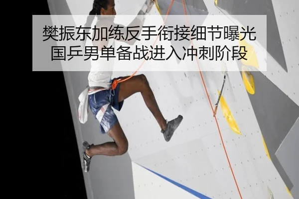 樊振东加练反手衔接细节曝光 国乒男单备战进入冲刺阶段